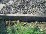 image of grave number 304736